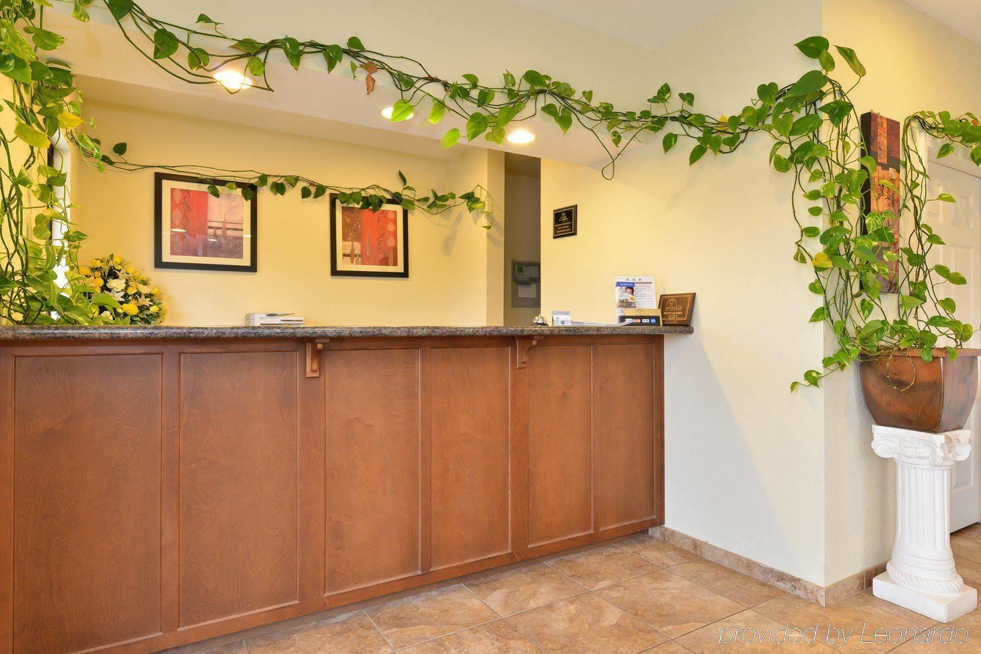 Americas Best Value Inn Byhalia Esterno foto